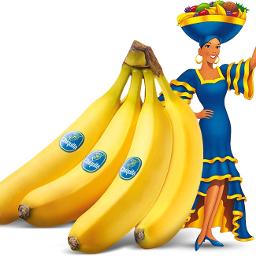 Chiquita Banana
