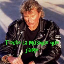 Toute la musique que j'aime