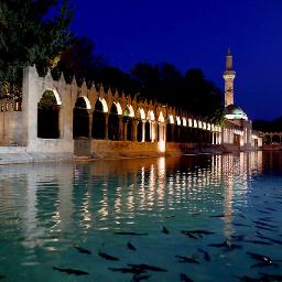 Garip Bir Kuştu Gönlüm Yar