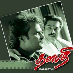 Sundari Kannal Short