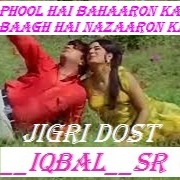 Phool Hai Baharon Ka(Jigri Dost)