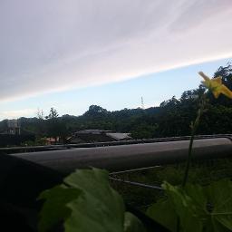 Busyrolana