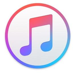 🎄Christmas Lights   ▌G║a║z║a║ S║t║u║d║i║o║▌