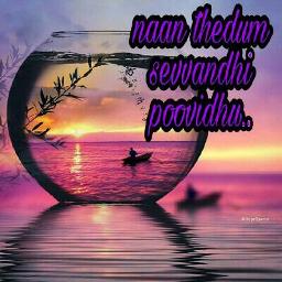 Naan Thedum - Short C2