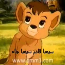 سمبا قادم