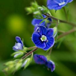 Kaavyangal paadumo...(short)