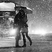 Seni Seviyorum (şiir)