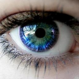 VISION