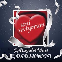 SENİ SEVİYORUM KADIN/ADAM (SIIR)