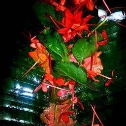 Pranathosmi guruvaayupuresam