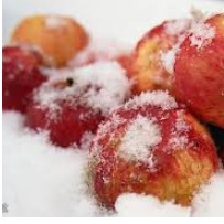 Яблоки на снегу - ремикс+бэк