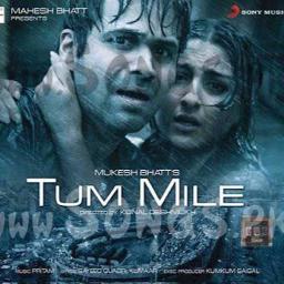 Dil ibaadat ( Tum Mile )