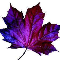 ေဝခြဲမရပါလား Male Key