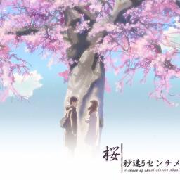 Sakura - Español