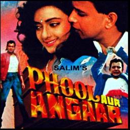 Hum Teri Mohabbat Mein Yun Paagal