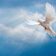Thank You Lord For Your Blessings On Me*