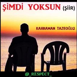 Şimdi Yoksun Şiir