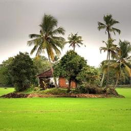 Kaananazhakulla Maanikya Kuyile