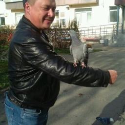 Письмо маме