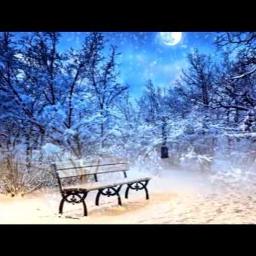 Падал снег - В ГОРОДСКОМ САДУ