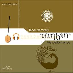 Ne Feryad Edersin Divane Bülbül