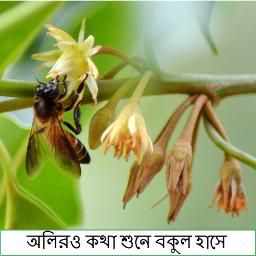 অলিরও কথা শুনে