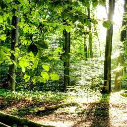 In der Weihnachtsbrauerei