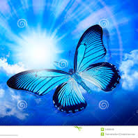 Neelakasha konil..Short..