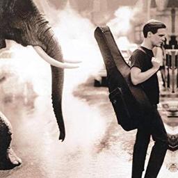 Before The Night Is Over