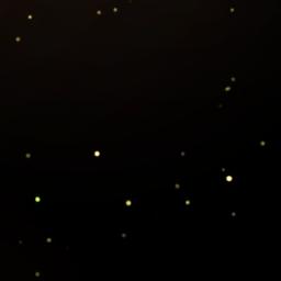 Gamsız Hayat&انت الحياة