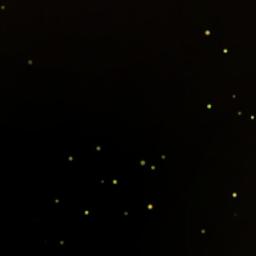 Частушки 18+