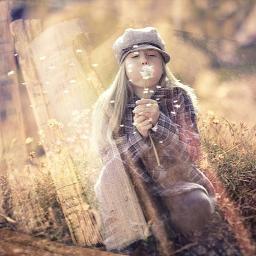 Du fängst den Wind niemals ein Instrumental