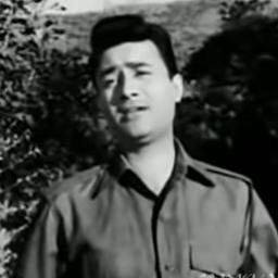 Main Zindagi Ka Saath Nibhata Chala Gaya - MAIN ZINDAGI KA SAATH NIBHATA ASLI NAQLI