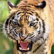 தமிழீழத்தின் அழகு - Thamil Ealathin Azhaku