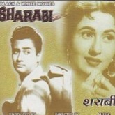 🍀 Kabhi na kabhi, kahin na kahin koi na koi