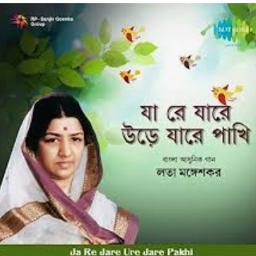 যা রে যারে পাখি উড়ে