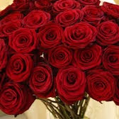 Short - HD 🌟  কি নামে ডেকে বলবো তোমাকে