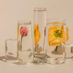 Проститься - +2