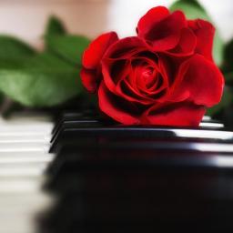 Let It Be - piano higher key