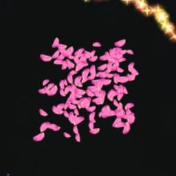 Dingin - “”🔹🔹