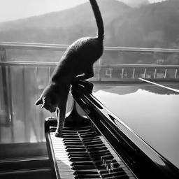 I'll Stand By You PIANO cover