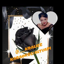 DİLE YASLANDIM AĞLADIM 📀✔️