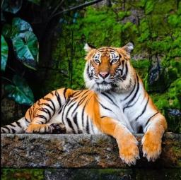 RAJAH GUNUNG GALUNGGUNG