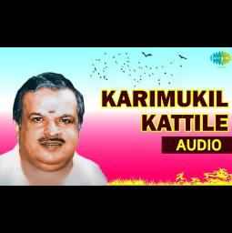 karimukil kattile(kallichellamma)🌷full song