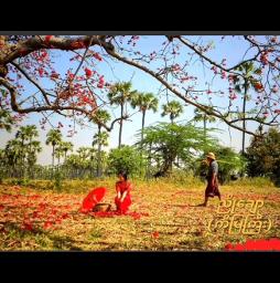 ညိုချော