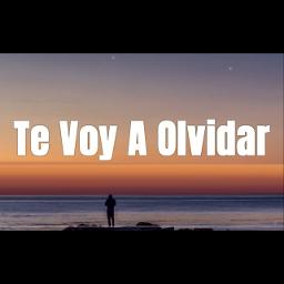 Te Voy Olvidar