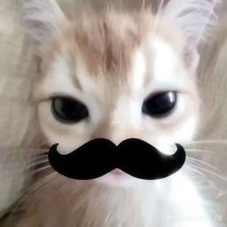 Священная война