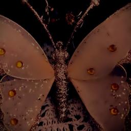 Я буду бабочкой в тепле твоих ладоней...