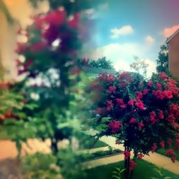 HINO 437-OS MENINOS VIRAM JESUS PASSAR