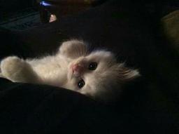 COMPANY ( WITH VOCALS)